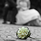 Hochzeitsfoto: Schwarz-Weiss-Portrait mit ColorKey-Effekt